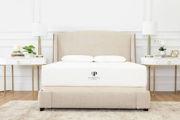 PlushBeds Eco Mattress Eco Bliss