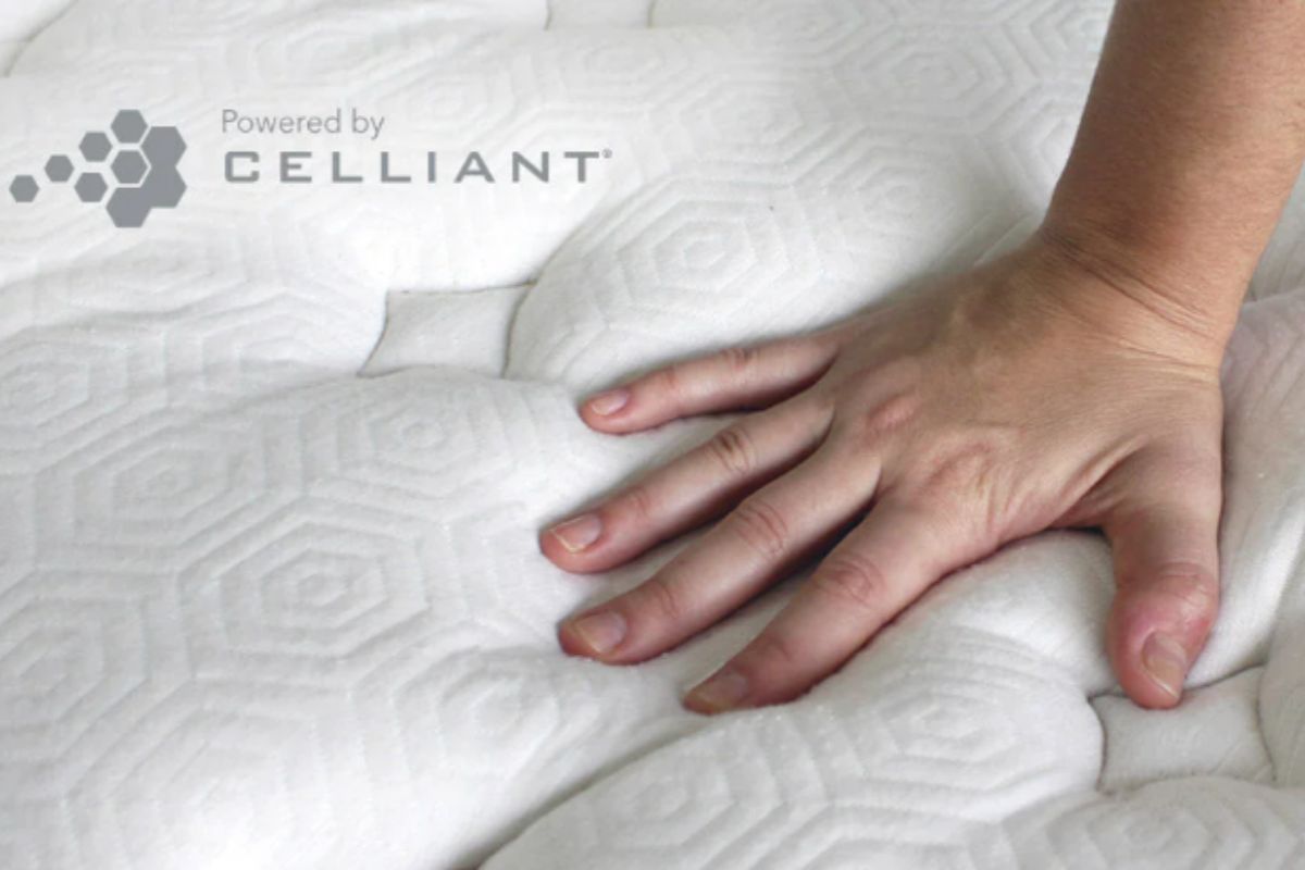 Hand pressing Bear Elite Hybrid mattress surface demonstrating condition check before return