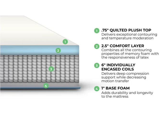 Dreamfoam Hybrid - Image 3