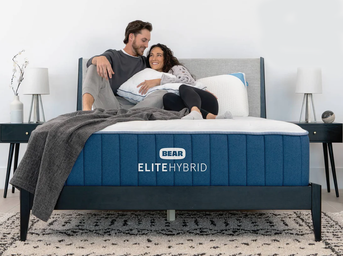 Bear Elite Hybrid