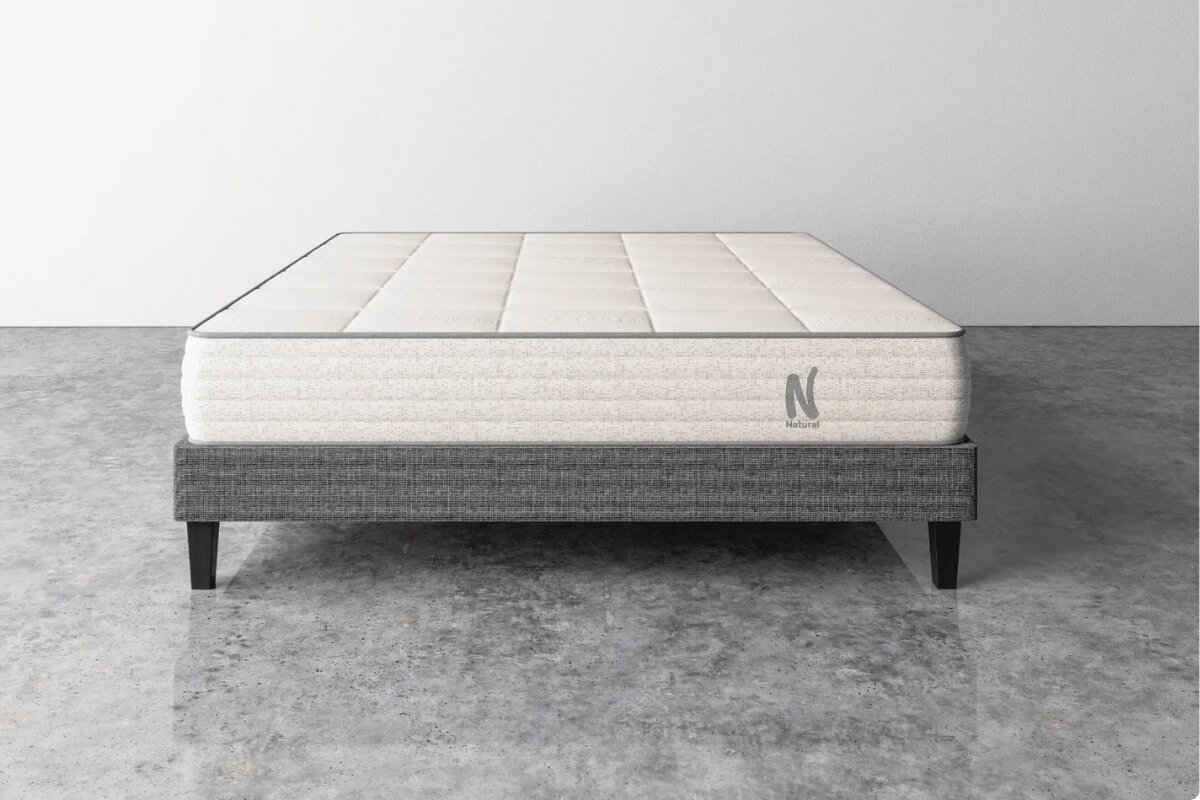 The Nolah Natural 11