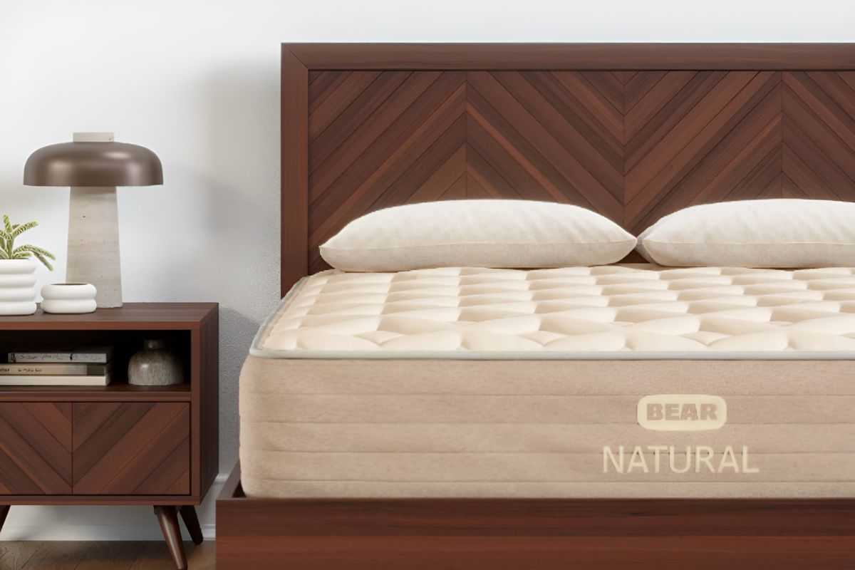 Bear Natural Mattress - Mattress Design