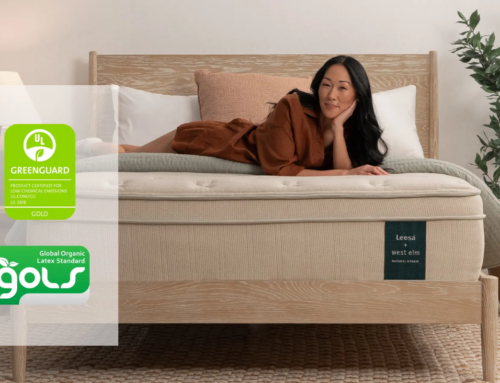 Leesa Natural Hybrid Mattress Review