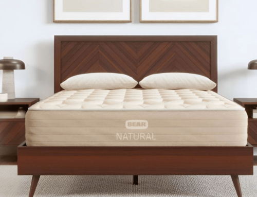 Bear Natural Mattress Review