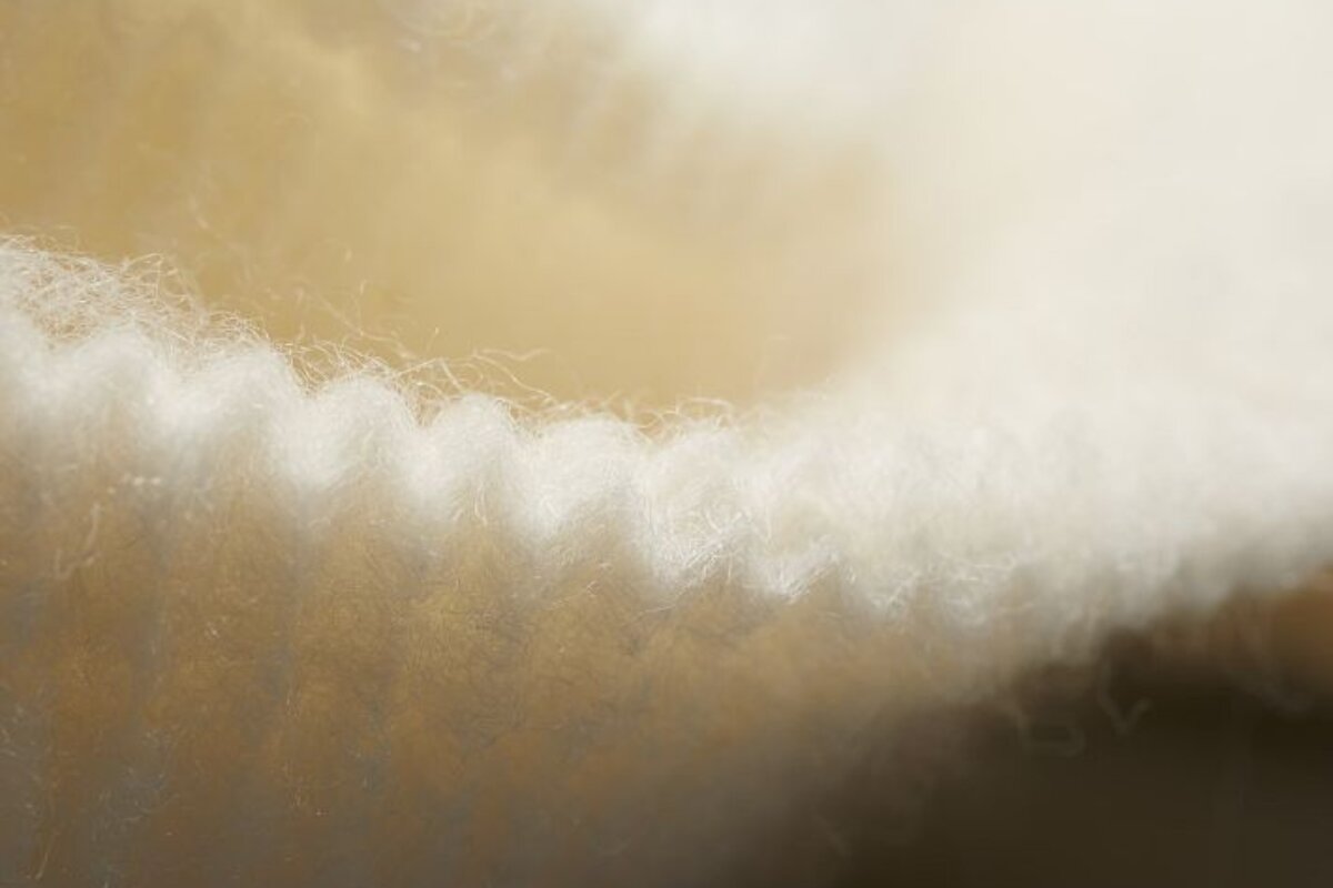 A close up of a clothe.