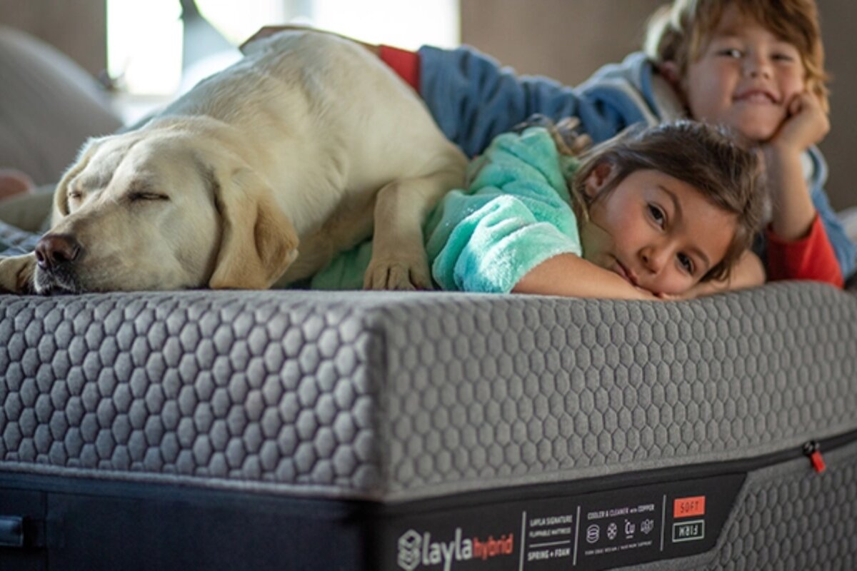 a dog, a girl and a boy laying down on the Layla Hybrid Mattress.