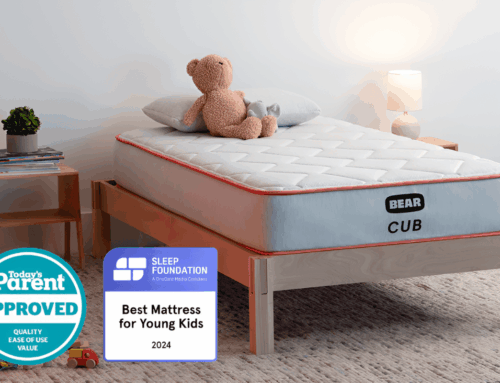 Bear Cub Mattress Review