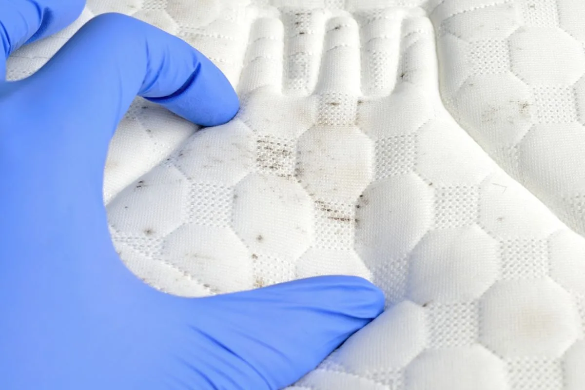 Close-up of moisture spots and mold growth on a mattress, highlighting the risks of not drying a memory foam mattress properly