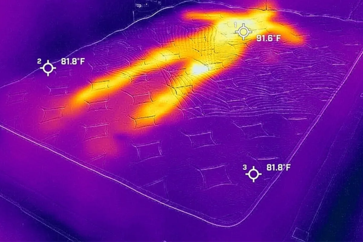 A heat image of a person trying on a bed, very visible.