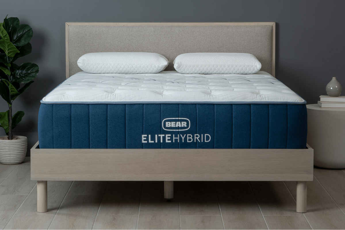 Bear Elite Hybrid Bear Elite Hybrid
