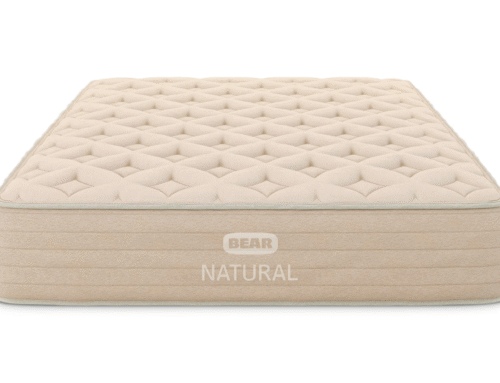 How to Avoid Voiding a Bear Natural’s Warranty