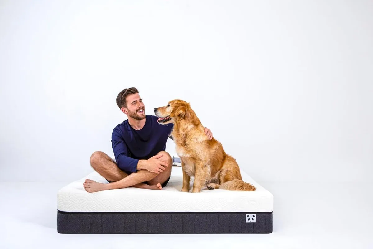 A man and his dog sitting on the Panda Hybrid Bamboo Mattress Pro.