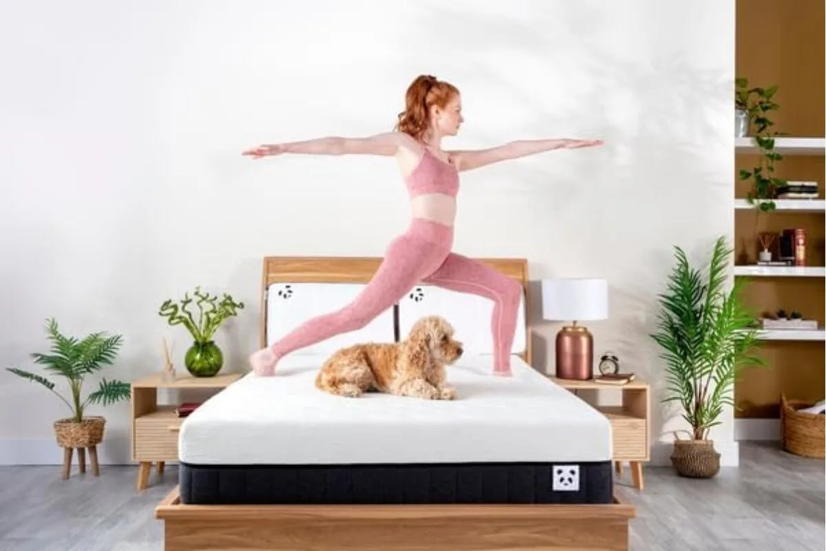 a woman doing yoga on the Panda Hybrid Bamboo Mattress Pro while a dog sits on it.
