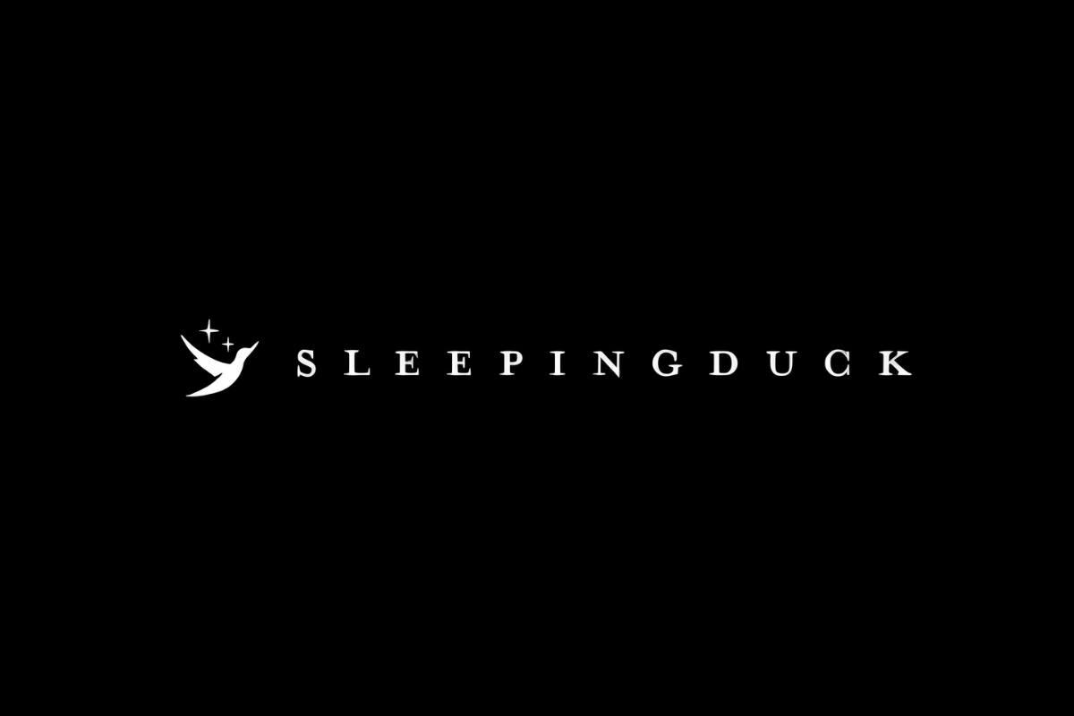 Sleeping Duck 