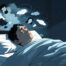 pstd and sleep