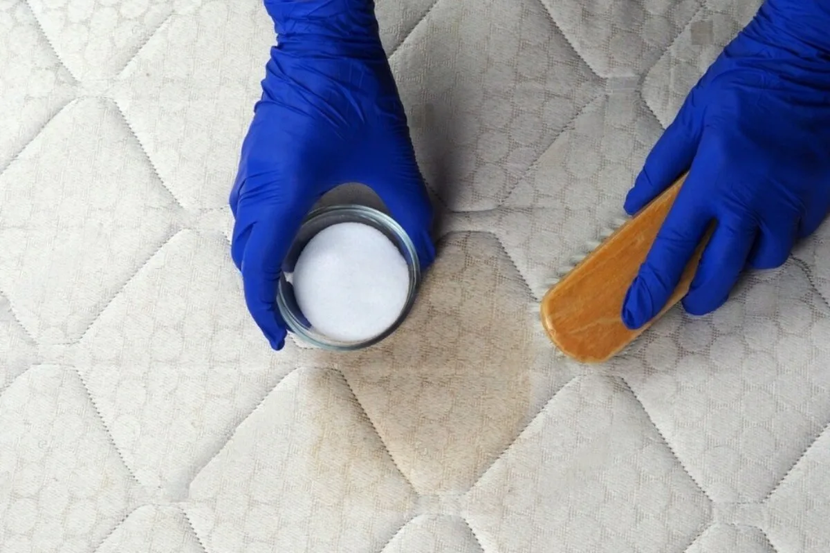 How to Clean a Latex Hybrid Mattres? A person wearing latex gloves removing a stain.