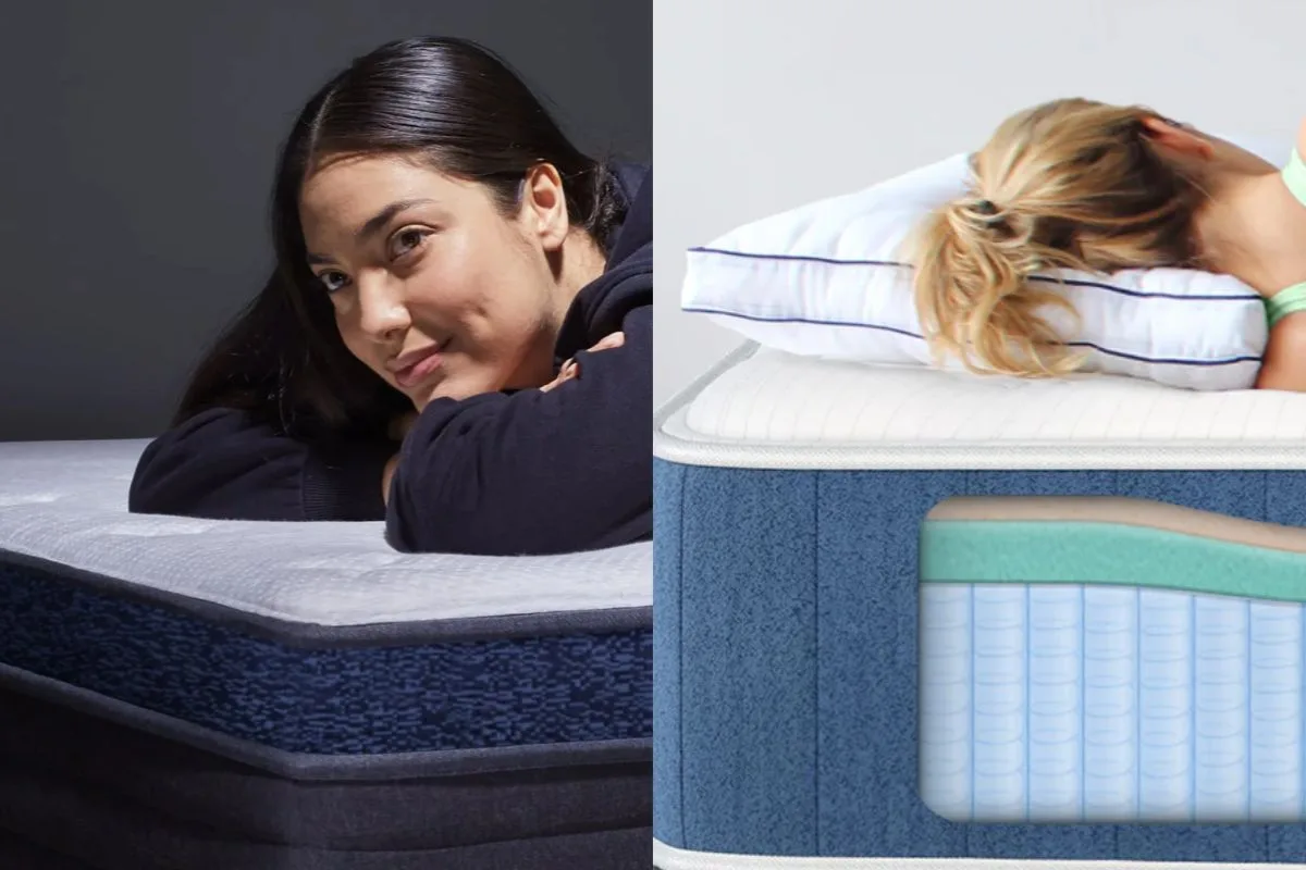 Helix Midnight Luxe vs Bear Elite Hybrid Helix Midnight Luxe vs Bear Elite Hybrid comparison of internal materials, foam layers, and support coil systems