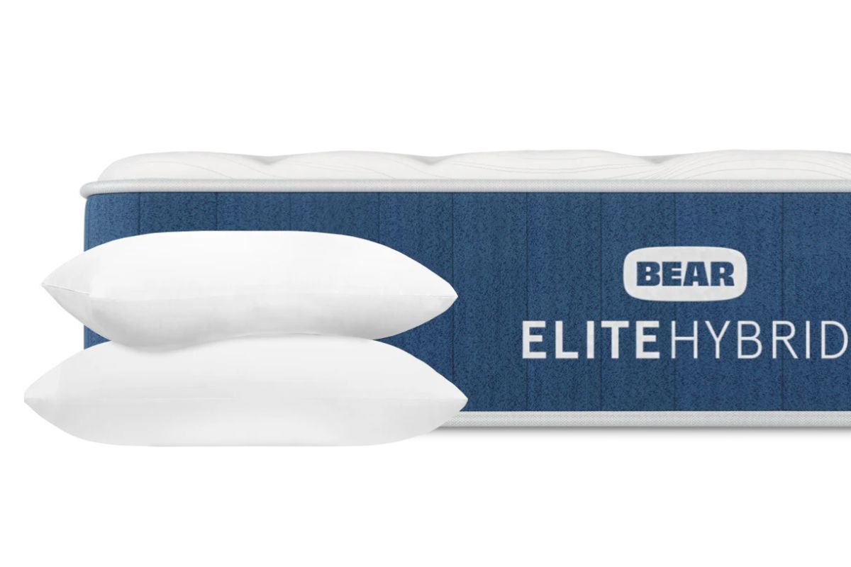 Bear Elite Hybrid - Couples Suitability