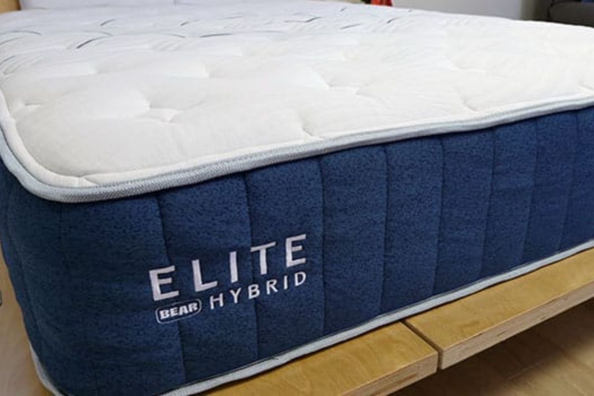Bear Elite Hybrid - Support Features