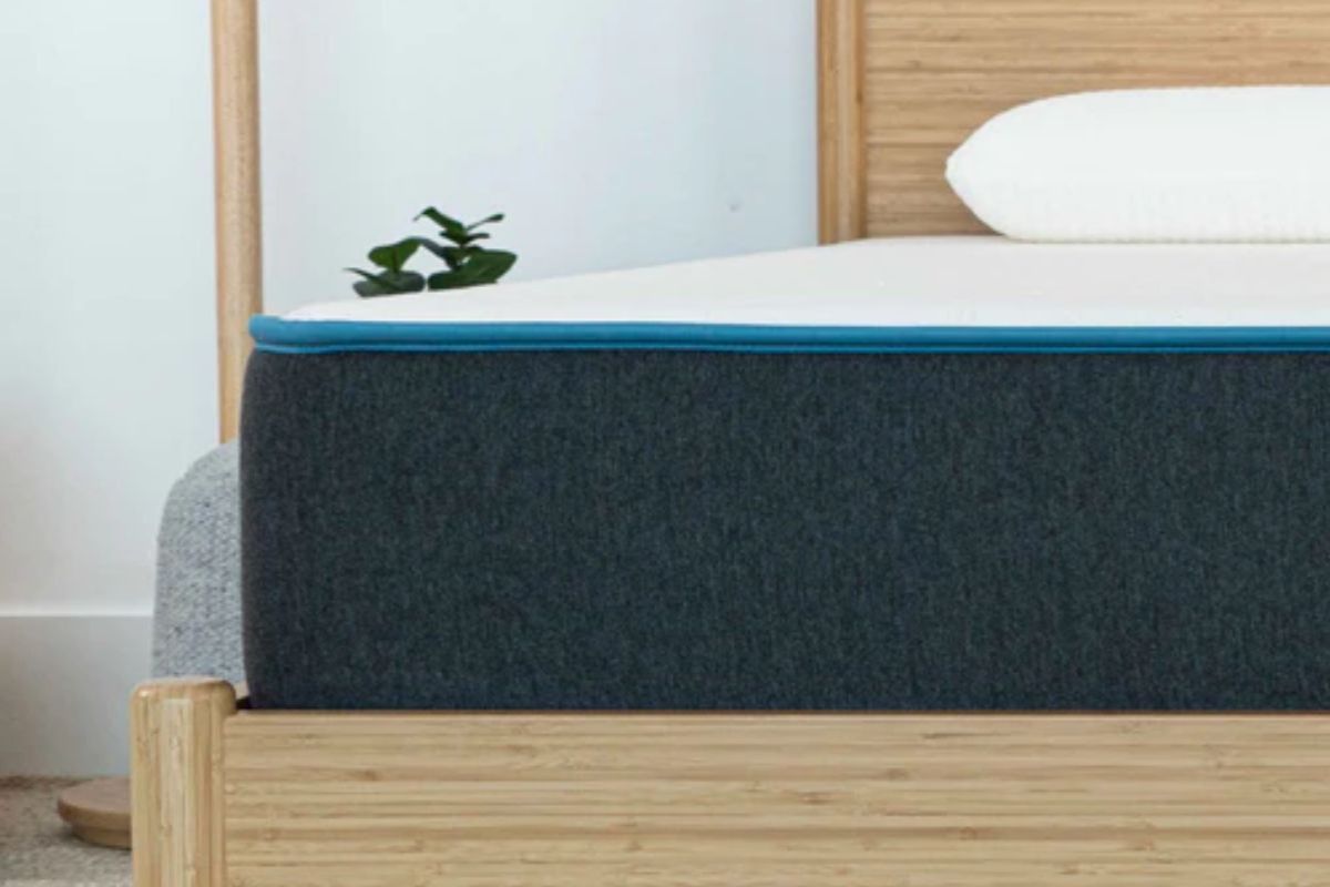 Bear Original Mattress - Mattress Design