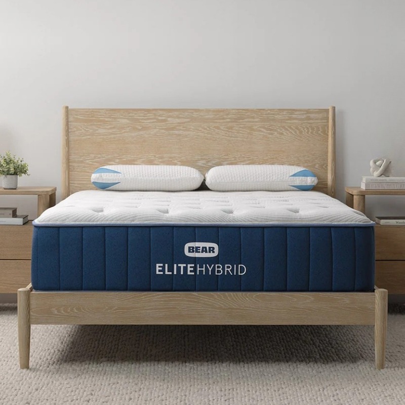 Bear Elite Hybrid