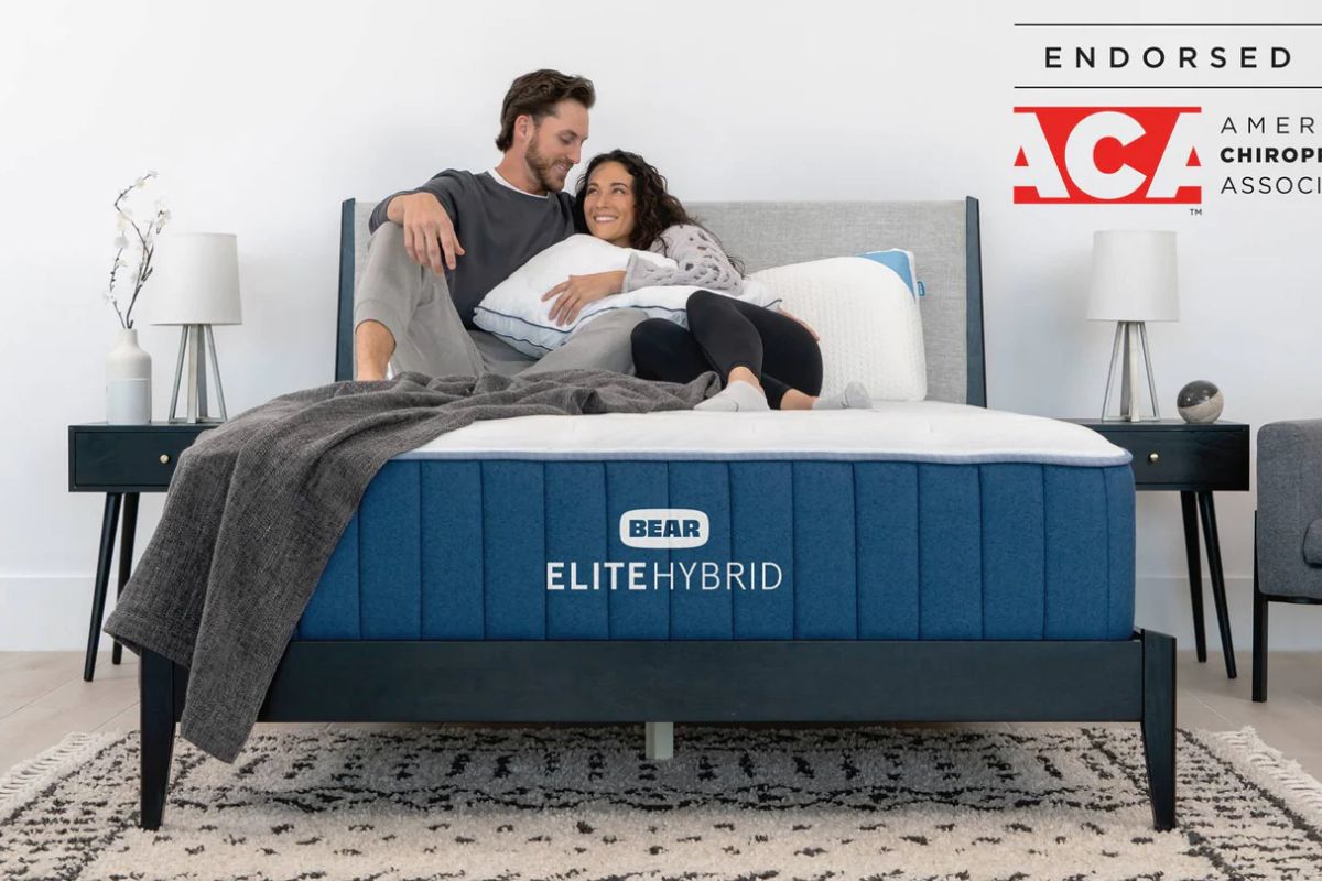 Bear Elite Hybrid