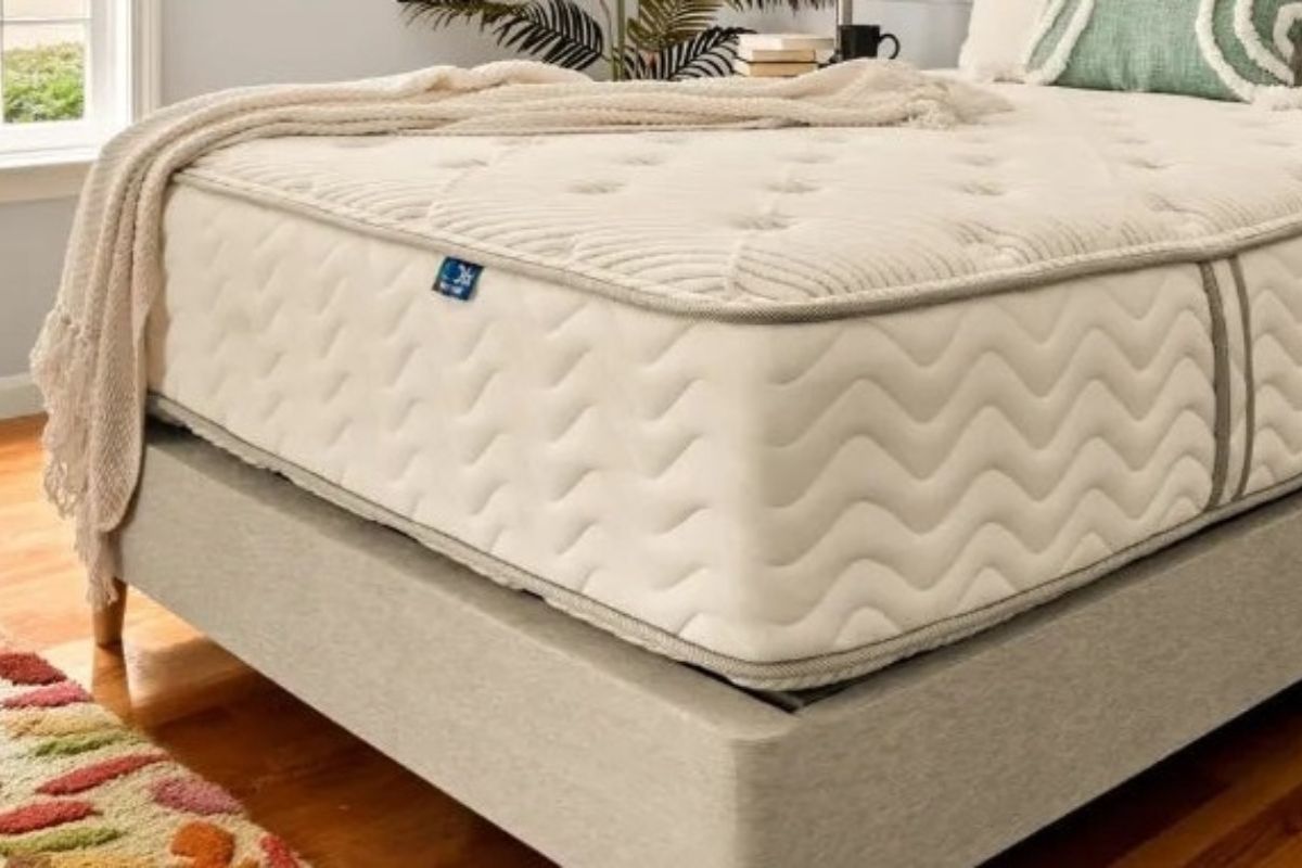 DLX LatexLux Hybrid Mattress - Couples Suitability