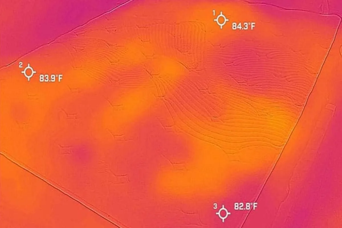 Thermal heat map showing mattress surface temperature distribution after use