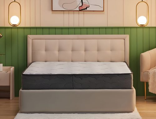 Wakefit Elevate Pocket Spring Mattress with Memory Foam Review