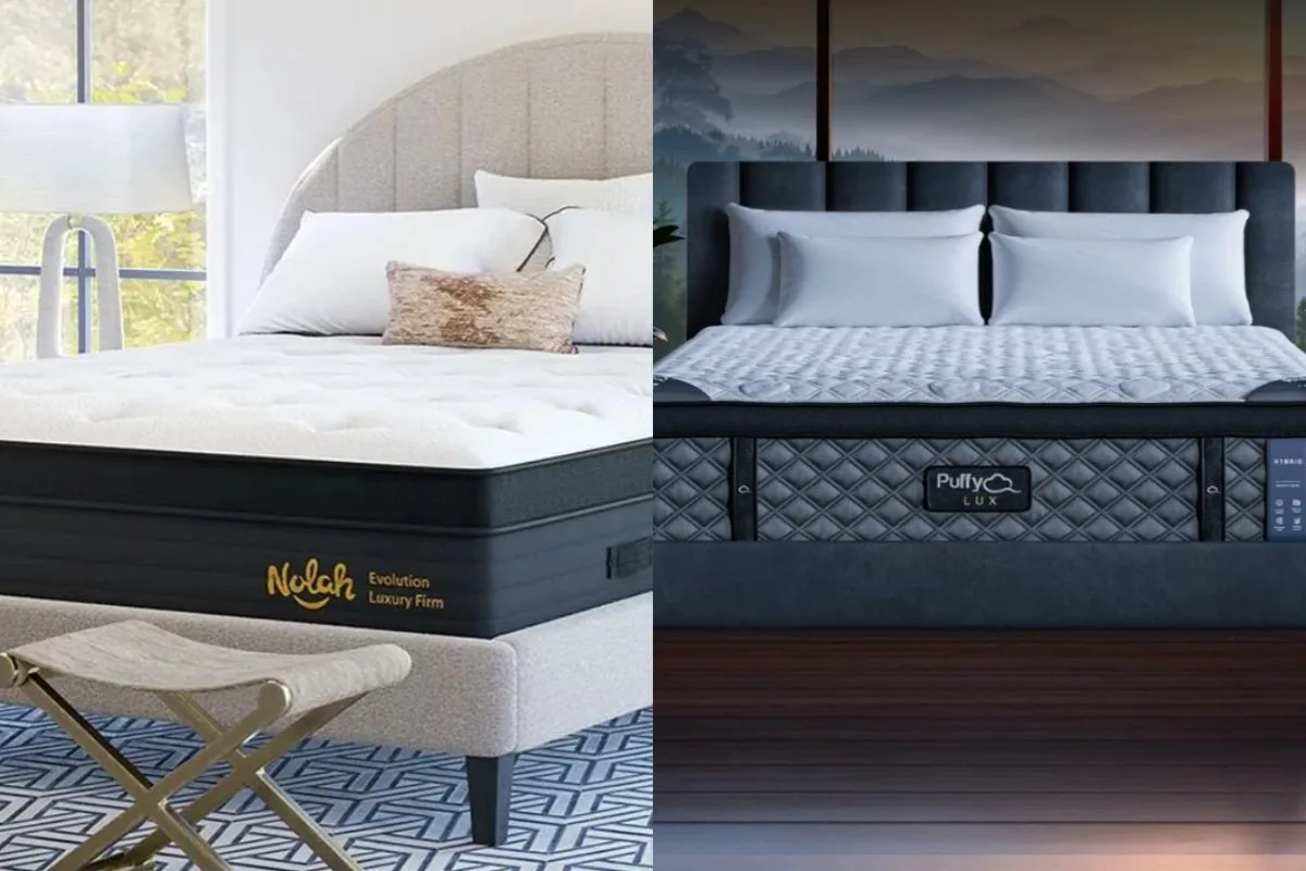 Nolah Evolution 15 vs Puffy Lux Nolah Evolution 15” vs Puffy Lux - Support Features
