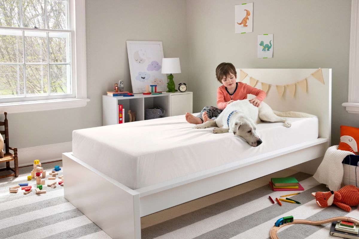 Why Is It Called a Twin Bed? Twin Beds in Modern Homes
