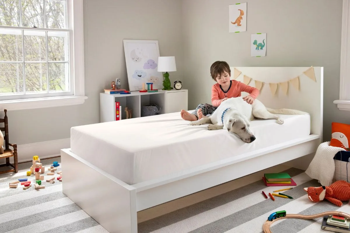 Twin Beds in Modern Homes