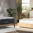 2 images of beds: Helix Midnight Luxe and Nolah Natural 11".