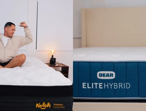 Nolah Evolution 15″ vs Bear Elite Hybrid