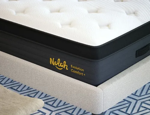 What to Expect in a Nolah Evolution Comfort+’s Trial-Period